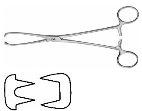 КОРНЦАНГ МЮЗУКС ЗАХОПЛЮЮЧИЙ, ПРЯМИЙ, 200 ММ